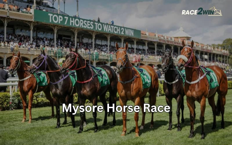 mysore horse race