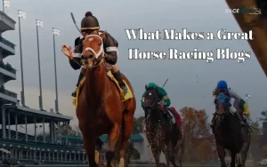 horse racing blogs