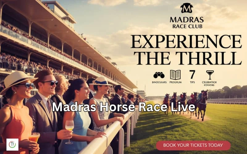 madras horse race live
