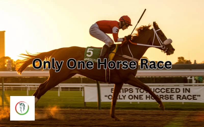 only one horse race