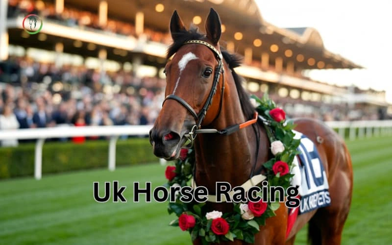 uk horse racing
