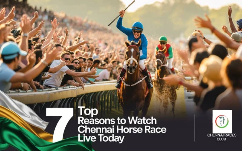 chennai horse race live