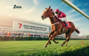 just horse racing tips