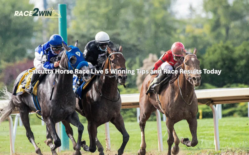 calcutta horse race live